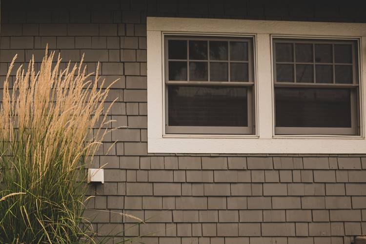 Home with gray vinyl siding, window with white casing and adjacent cattails