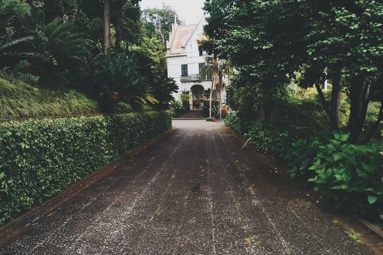Paved concrete residential driveway surrounded by green shrubbery