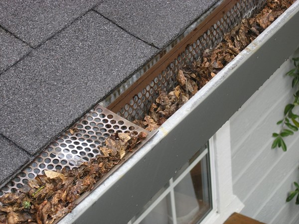 Partially damaged gutter guard and brown leaves in metal rain gutter